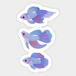 Blue Betta 3 Sticker